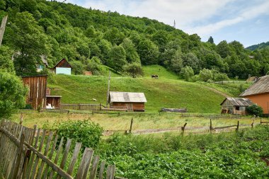 Seyahat, seyahat, eko turizm, seyahat, doğa, yaz, dağlar, Karpatlar, pitoresk doğa, yeşillik, gökyüzü, Transcarpathia, Batı Ukrayna, Kvasy köyü, yürüyüş 