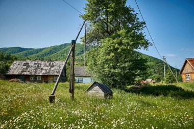 Seyahat, seyahat, eko turizm, seyahat, doğa, yaz, dağlar, Karpatlar, pitoresk doğa, yeşillik, gökyüzü, Transcarpathia, Batı Ukrayna, Kvasy köyü, yürüyüş 