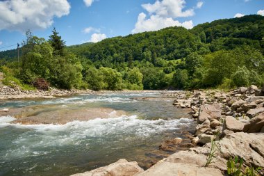 Seyahat, seyahat, eko turizm, seyahat, doğa, yaz, dağlar, Karpatlar, pitoresk doğa, yeşillik, gökyüzü, Transcarpathia, Batı Ukrayna, Kvasy köyü, yürüyüş 