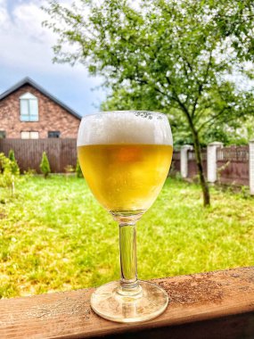 bira bardağı ahşap masada.