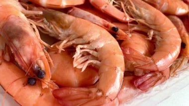 Lezzetli taze karides, kral karidesler, deniz ürünleri, sağlıklı yiyecekler, protein.