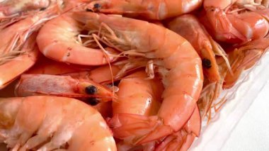 Lezzetli taze karides, kral karidesler, deniz ürünleri, sağlıklı yiyecekler, protein.