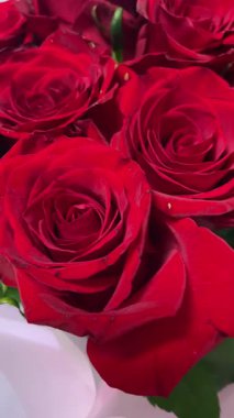 Kırmızı gül buketi yakın, romantik güller, çiçekler, aşkı hissetmek, aşık olmak