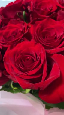 Kırmızı gül buketi yakın, romantik güller, çiçekler, aşkı hissetmek, aşık olmak