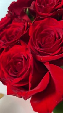 Kırmızı gül buketi yakın, romantik güller, çiçekler, aşkı hissetmek, aşık olmak