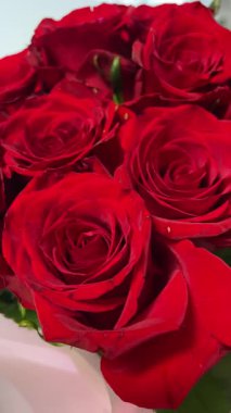 Kırmızı gül buketi yakın, romantik güller, çiçekler, aşkı hissetmek, aşık olmak