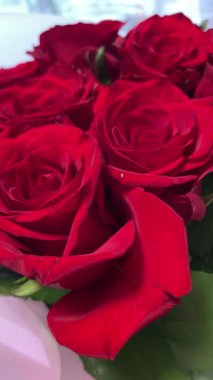 Kırmızı gül buketi yakın, romantik güller, çiçekler, aşkı hissetmek, aşık olmak