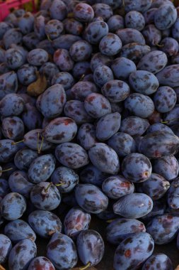 Markette taze erikler.