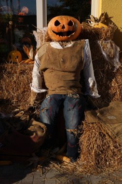 Balkabağı adamla Cadılar Bayramı süslemesi 