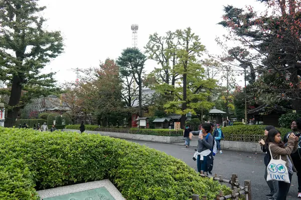 Pontianak 2015 Nov Fotógrafo Parque Sensoji Com Fundo Tokyo Skytree — Fotografia de Stock