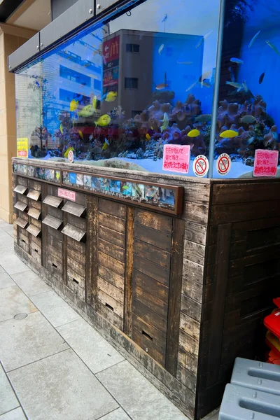 Pontianak 2015 Nov Acuario Arrecifes Coral Agua Salada Tienda Principal —  Fotos de Stock