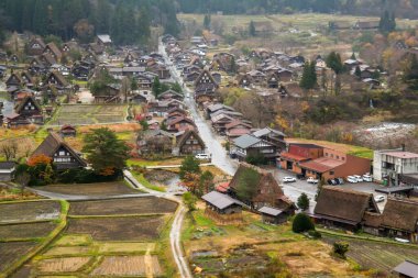 Japonya 2015 Kasım 22, Okuno jima Adası veya kunoshima Rabbit Adası, Japonya 'nın iç kesimlerinde bulunan küçük bir adadır. Takehara ili 'nin bir parçası olarak kabul edilir..