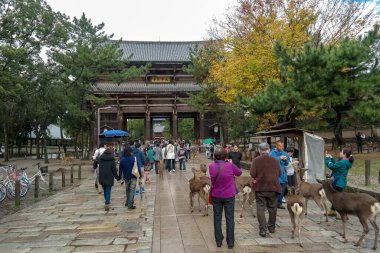 Japonya 2015 Kasım 23, Turist, antik Japon başkenti Nara 'daki Todaiji Budist Tapınağını Ziyaret Etti