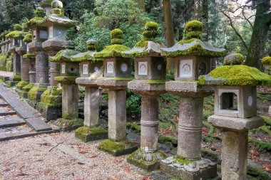 Japonya 2015 Kasım 23, Japon fenerleri Nara Japonya 'daki Kasuga-taisha Tapınağı' nda