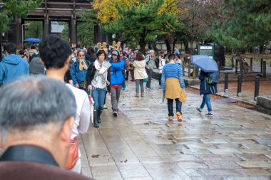 Japonya 2015 Kasım 23, Turist, antik Japon başkenti Nara 'daki Todaiji Budist Tapınağını Ziyaret Etti