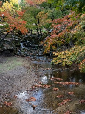 Japonya 2015 Kasım 22, Japonya 'nın Nara kentindeki Todaiji Tapınağı' nda peyzaj ve gölet. Güzel bir Nara Parkı