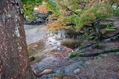 Japonya 2015 Kasım 22, Japonya 'nın Nara kentindeki Todaiji Tapınağı' nda peyzaj ve gölet. Güzel bir Nara Parkı