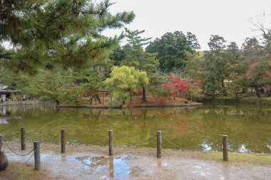 Japonya 2015 Kasım 23, Japonya 'nın Nara kentindeki Todaiji Tapınağı' nda peyzaj ve gölet. Güzel bir Nara Parkı