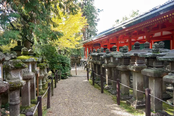 Japón 2015 Nov Linternas Japonesas Kasuga Taisha Shrine Nara Japón — Foto de Stock