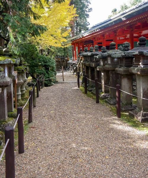 Giappone 2015 Nov Lanterne Giapponesi Santuario Kasuga Taisha Nara Giappone — Foto Stock