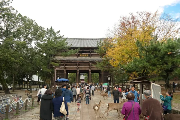 Japonya 2015 Kasım Turist Antik Japon Başkenti Nara Daki Todaiji — Stok fotoğraf