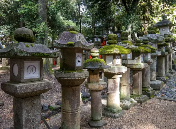 Japonya 2015 Kasım 23, Japon fenerleri Nara Japonya 'daki Kasuga-taisha Tapınağı' nda