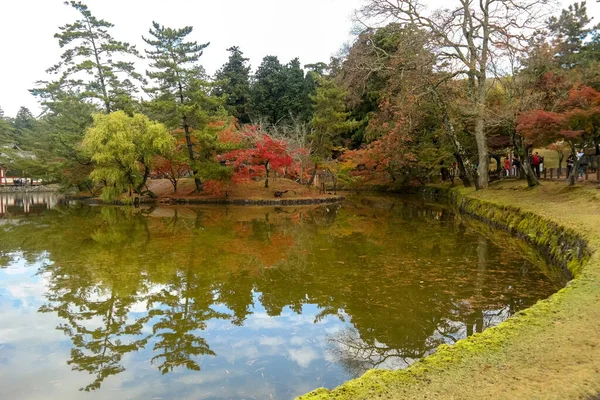 Japan 2015 Nov Landscape Pond Todaiji Temple Прекрасний Парк Нара — стокове фото
