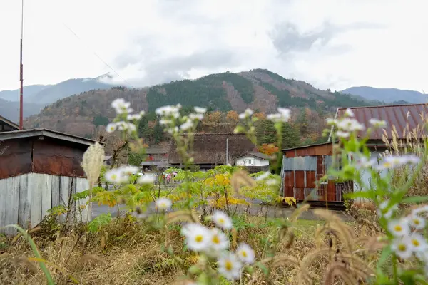2015 시라카와 전통적으로 초가집으로 유명하다 — 스톡 사진