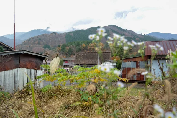Japón 2015 Nov Pueblo Shirakawa Pueblo Famoso Por Sus Tradicionales — Foto de Stock