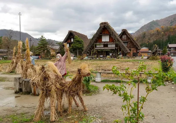 Japonya 2015 Kasım 22, mavi gökyüzünün altında eşsiz sazdan çatılı çiftlik evleri. Shirakawa-go 'nun tarihi köyü. Shirakawago, Japonya 'daki geleneksel Japon köyü.