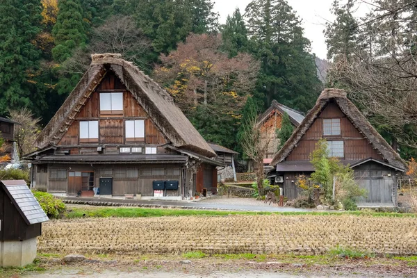 Stock image Japan 2015 Nov 22, Farm houses with very unique thatched roof under the blue sky. The historical village of Shirakawa-go. traditional Japanese village at shirakawago, Japan