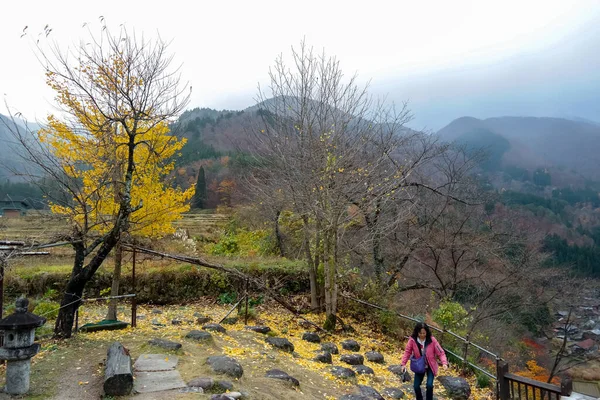 日本2015年11月22日世界遺産に登録された白川郷 現存する古い日本の村 — ストック写真
