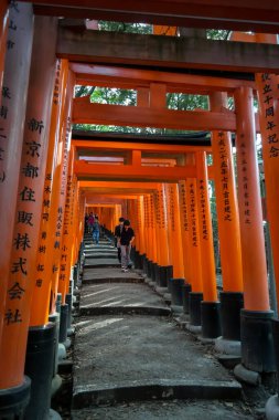 Japonya 2015 Kasım 19, Kyoto 'daki Fushimi Inari türbesindeki Red Torii kapıları. Fushimi Inari Tapınağı 'ndaki Torii kapıları