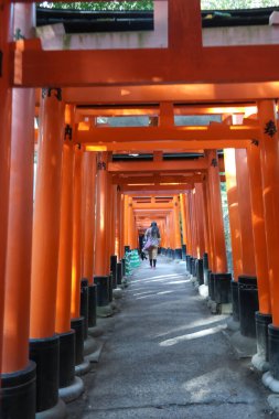 Japonya 2015 Kasım 19, Kyoto 'daki Fushimi Inari türbesindeki Red Torii kapıları. Fushimi Inari Tapınağı 'ndaki Torii kapıları