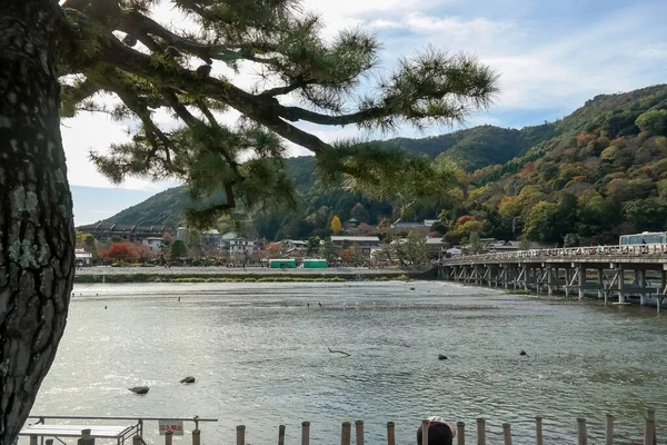 stock image Kyoto 2015 Nov 19, Katsura River near Togetsukyo Bridge Arashiyama district Kyoto