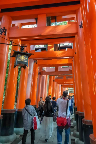 Japón 2015 Nov Red Torii Gates Fushimi Inari Shrine Kyoto — Foto de Stock