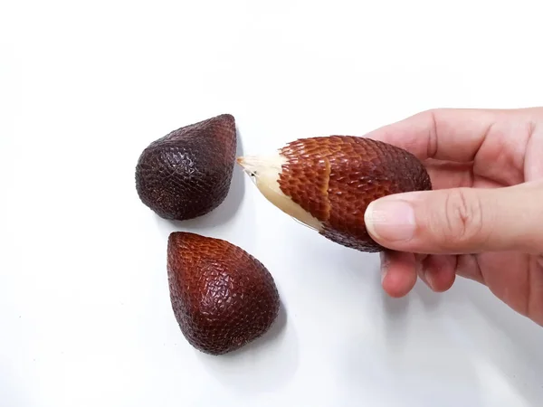 Holding and Peeling Salak or snake fruit isolated on white background. Snake fruit scientific name is Salacca zalacca. Top view, close up. Tropical, healthy food, summer, exotic.