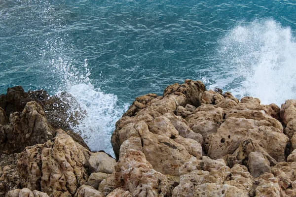 Roca Mar Tierra Flora — стоковое фото