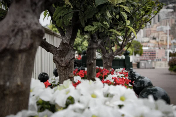 Monako 'ya doğru gidiyoruz.