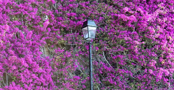Una manana tranquila en Villefranche sur mer , en la costa azul francesa