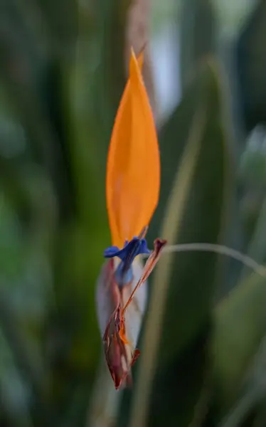 Şehrimde bir sabah yürüyüşü