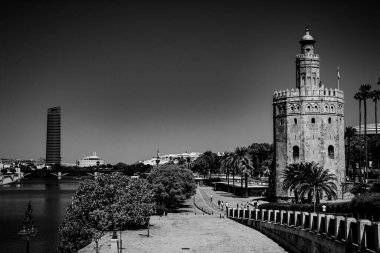 Un paseo por algunos de los lugares y monumentos mas iconicos de Sevilla