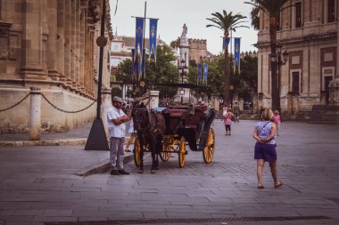 Un paseo por algunos de los lugares y monumentos mas iconicos de Sevilla