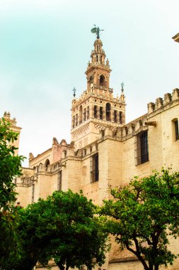 Un paseo por algunos de los lugares y monumentos mas iconicos de Sevilla