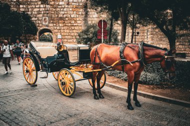 Un paseo por algunos de los lugares y monumentos mas iconicos de Sevilla