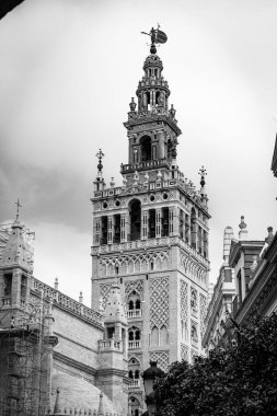 Un paseo por algunos de los lugares y monumentos mas iconicos de Sevilla