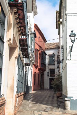 Un paseo por algunos de los lugares y monumentos mas iconicos de Sevilla