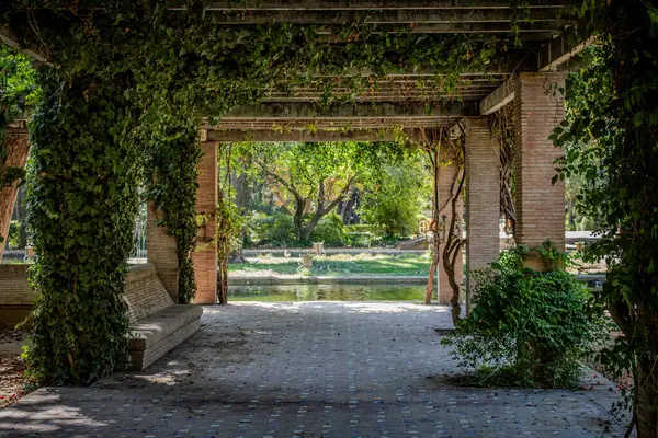 Un paseo por algunos de los lugares y monumentos mas iconicos de Sevilla