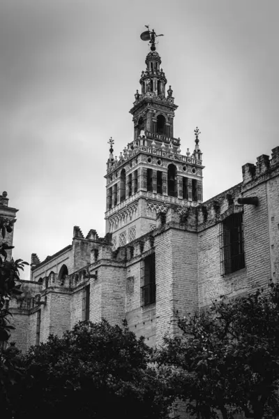 Un paseo por algunos de los lugares y monumentos mas iconicos de Sevilla