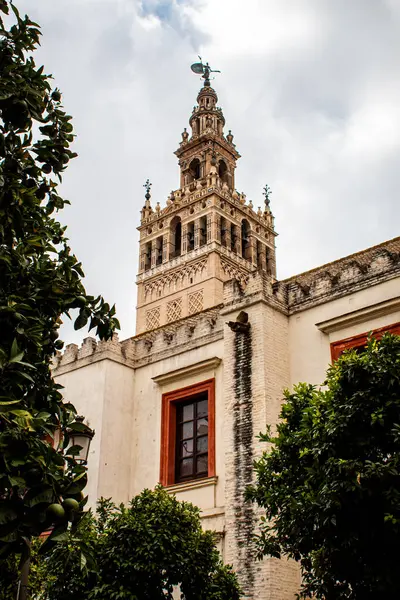 Un paseo por algunos de los lugares y monumentos mas iconicos de Sevilla